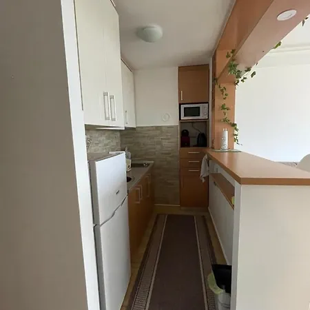 Apartman Ruza דירה